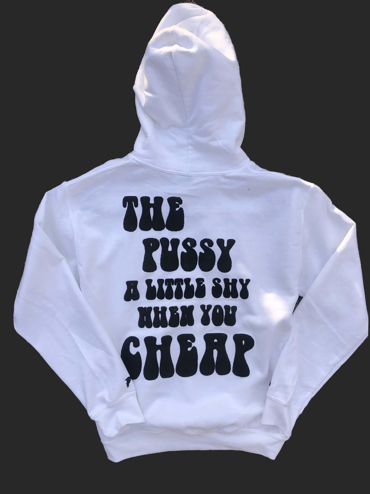 Players Only "The Pussy A Little Shy When You Cheap" Hoodie